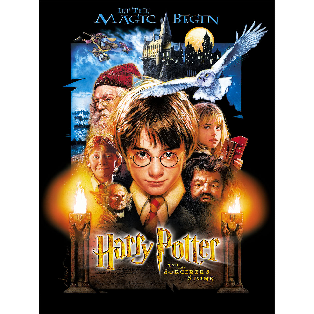 Harry Potter Group Shot Panel 45x60