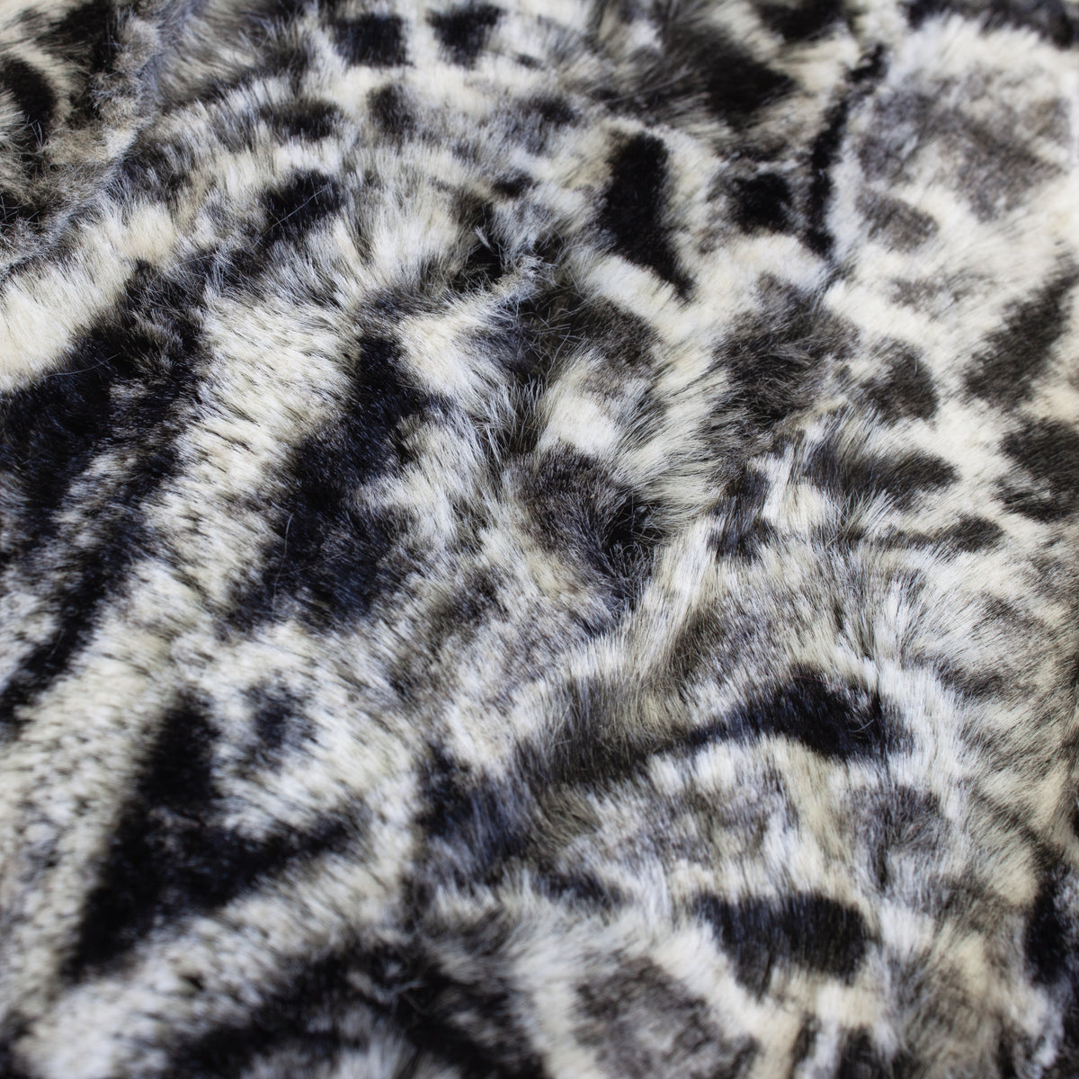 Black Spotted Leopard Snuggle