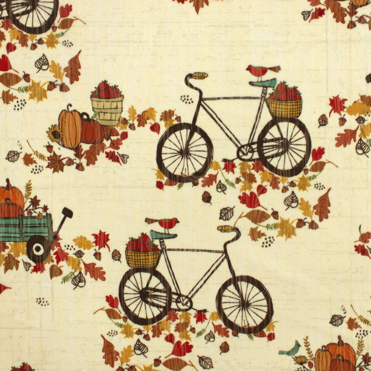 Autumn Bicycle Ride | Thanks Living