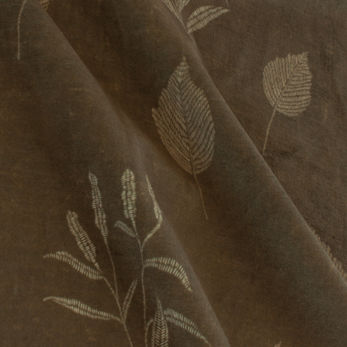 Bohemia Plants | Into Bohemia