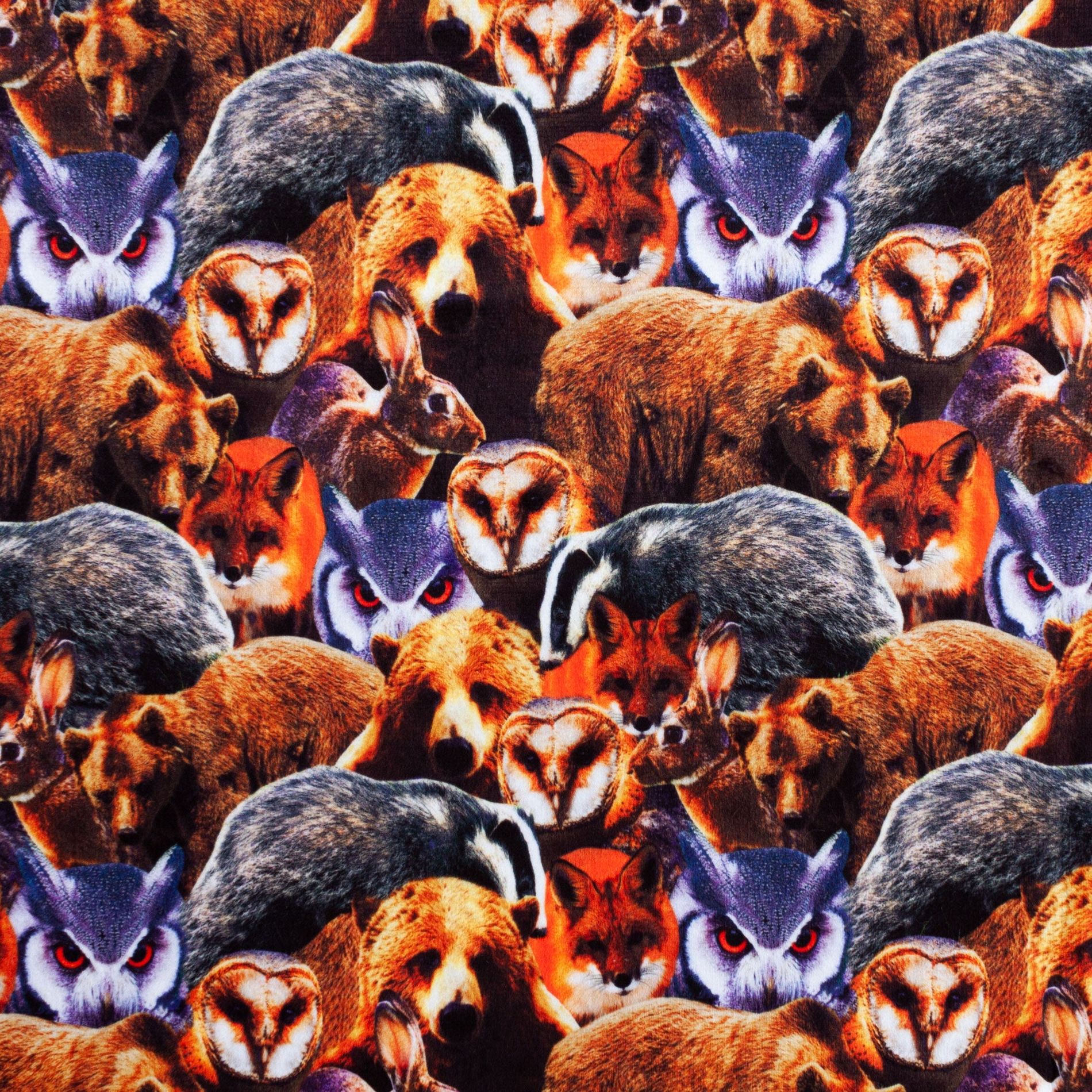 Woodland Animals forest critter minky fabric, swatch
