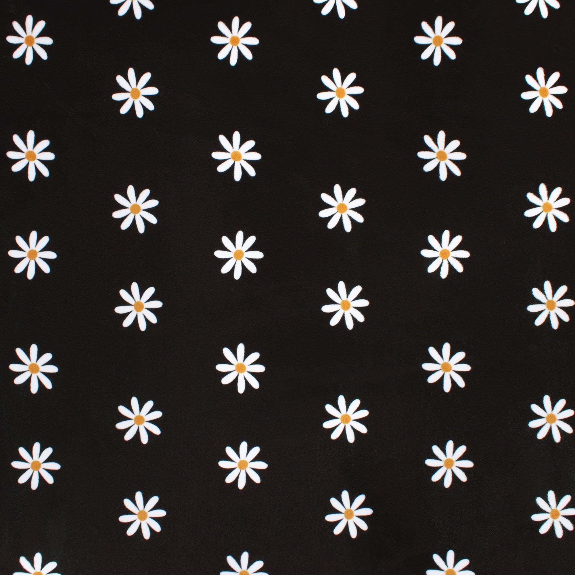 Itsy Daisy