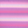 Blurred Out | Kitty Cat