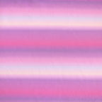 Blurred Out | Kitty Cat
