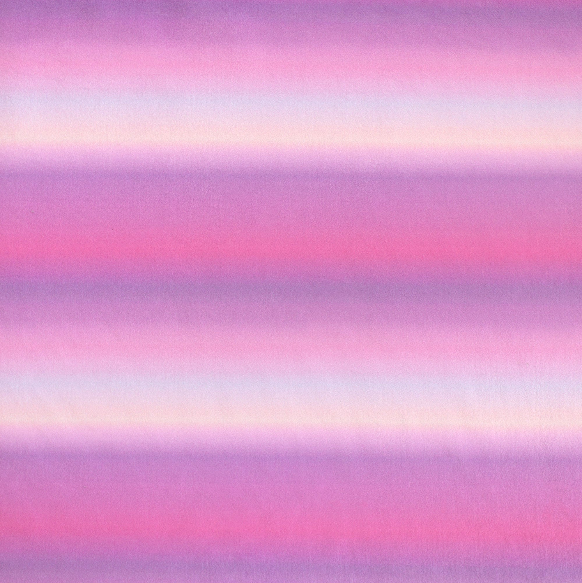 Blurred Out | Kitty Cat