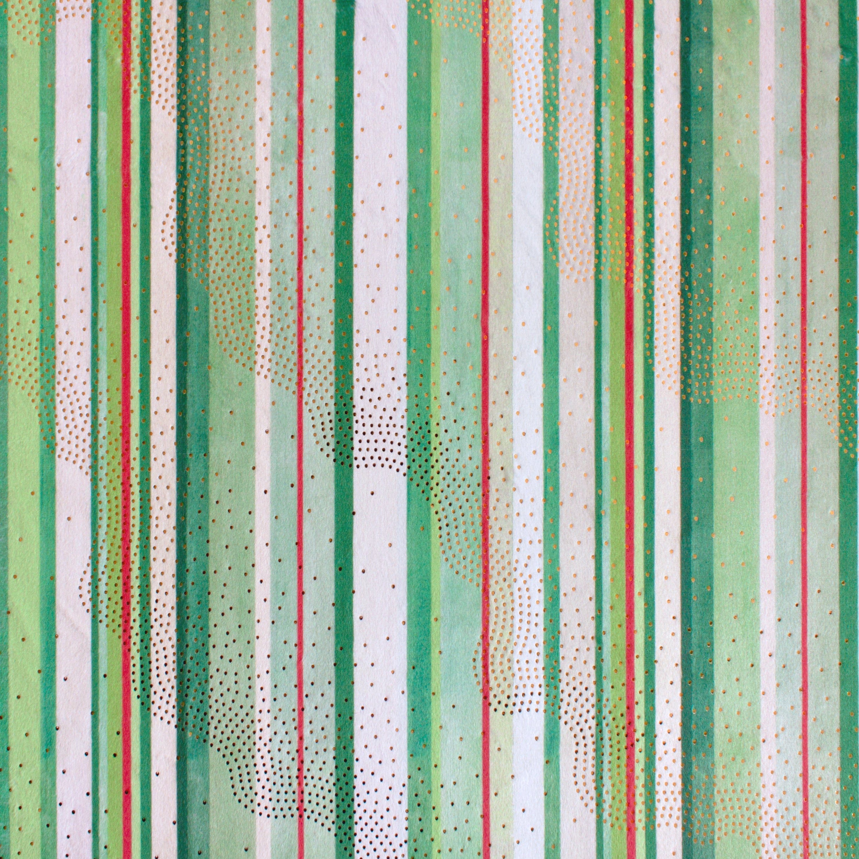 Holly Stripe