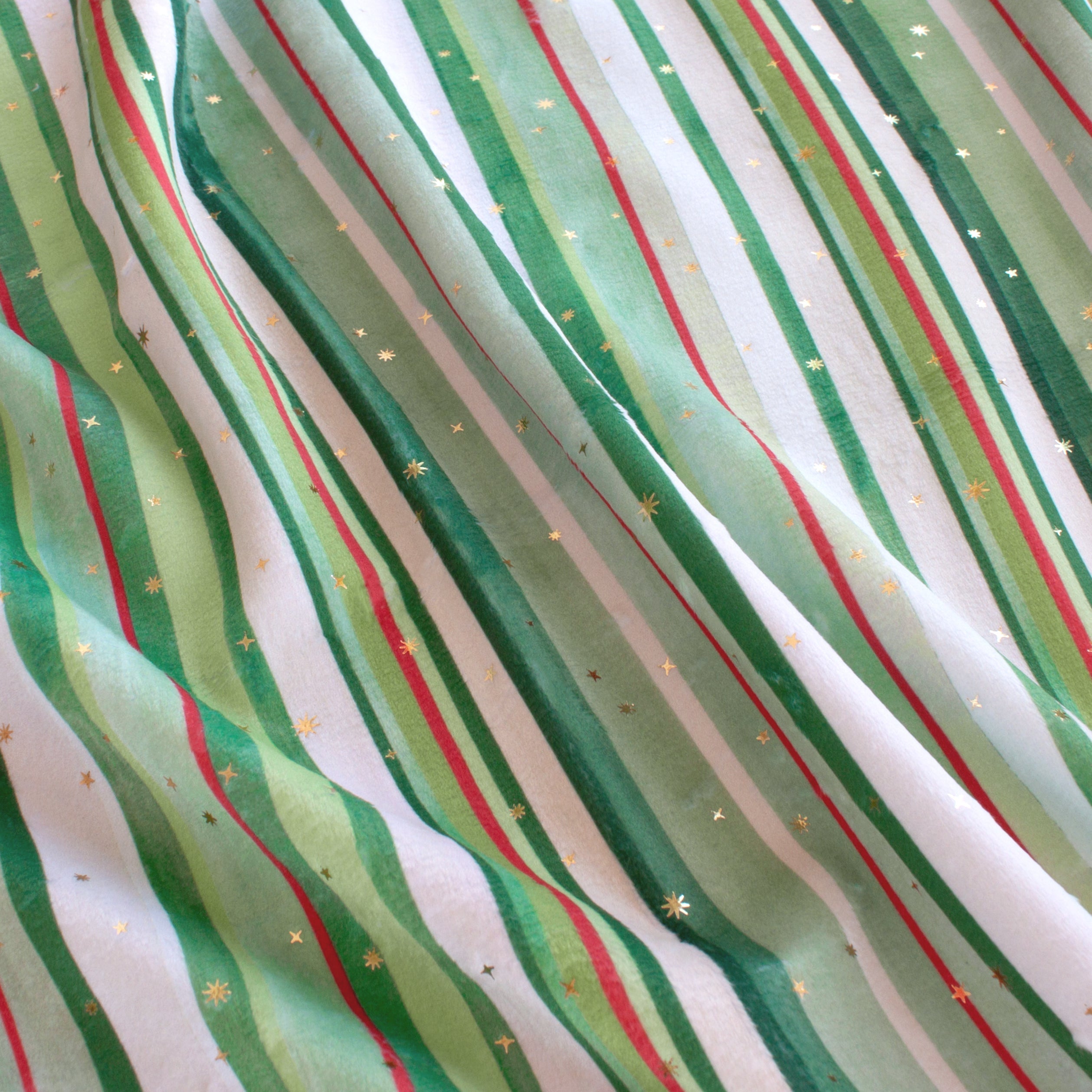 Holly Stripe