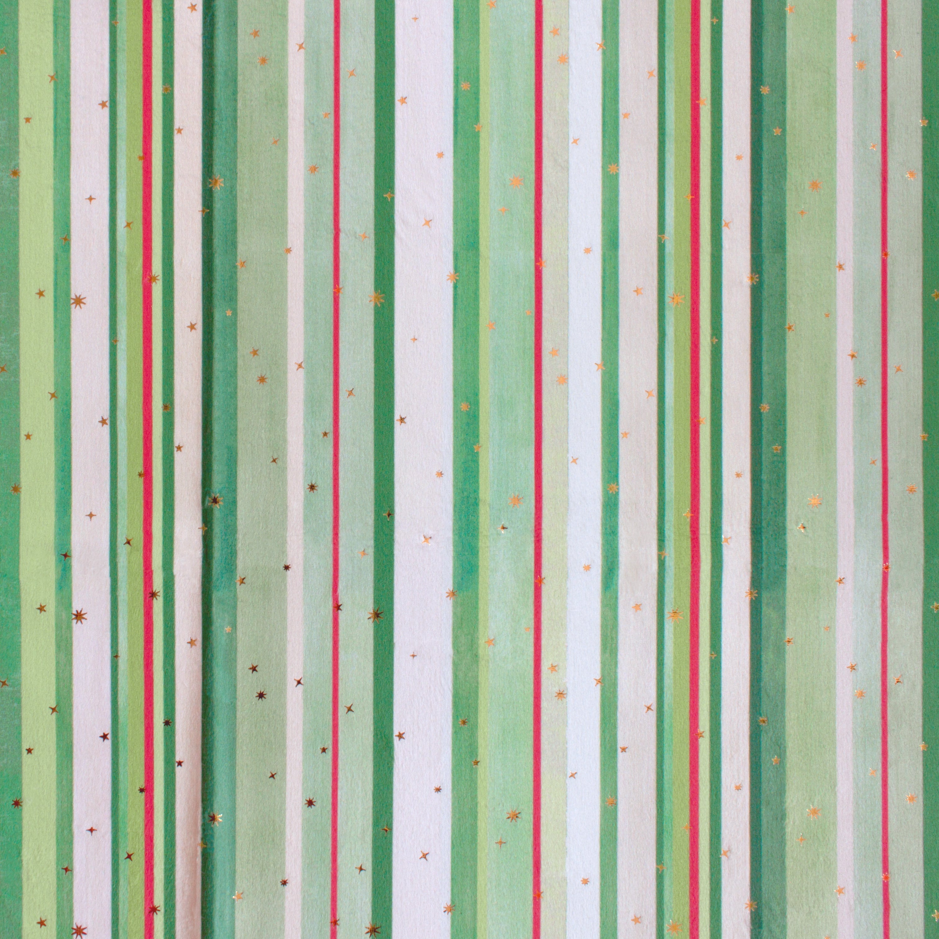 Holly Stripe