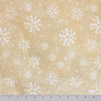Snowfall