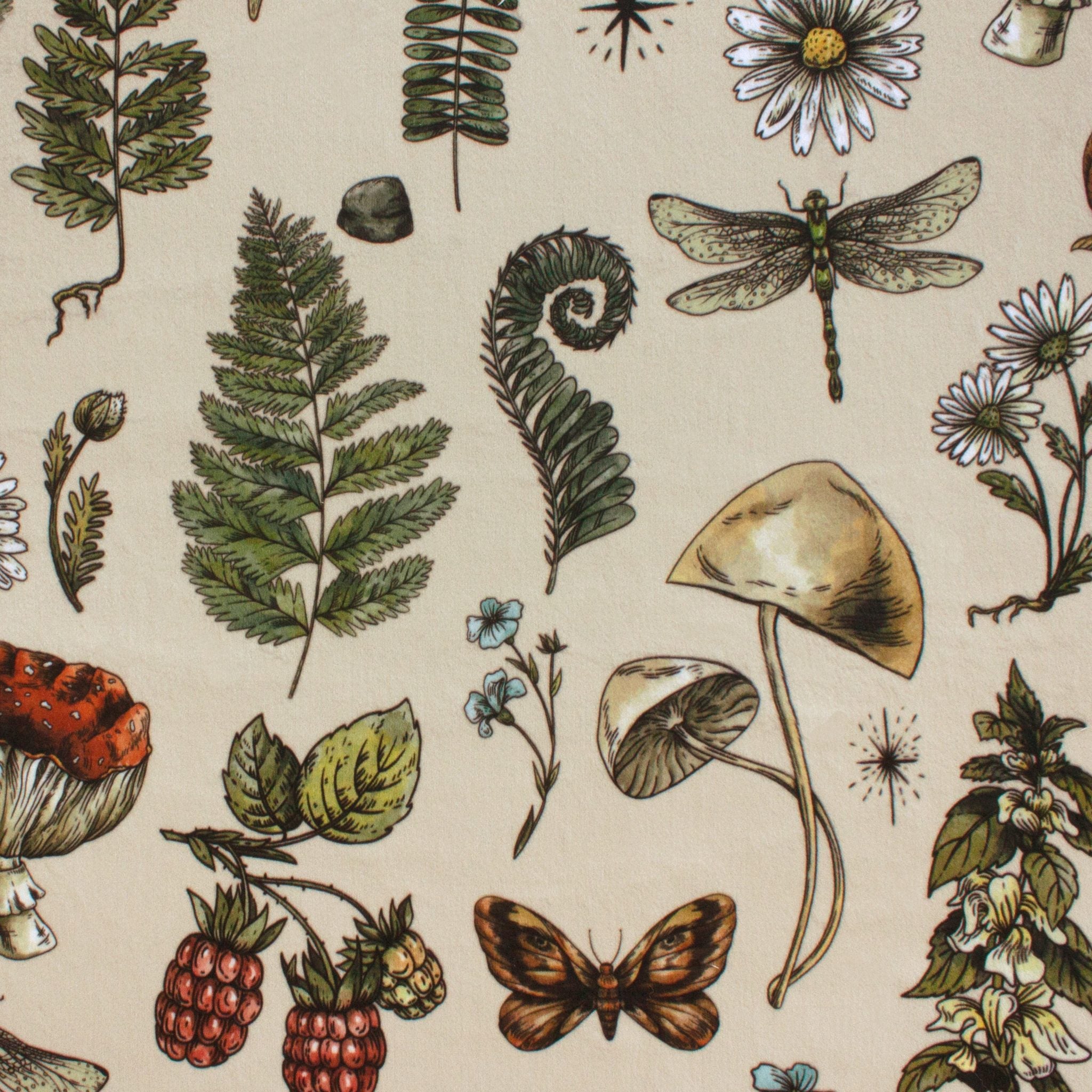 Woodland Mementos botanical minky fabric, swatch