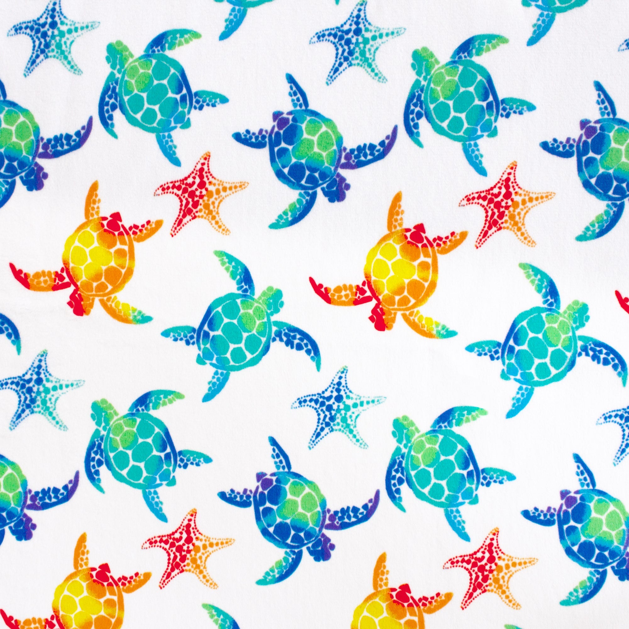 Small Sea Stars and Turtles