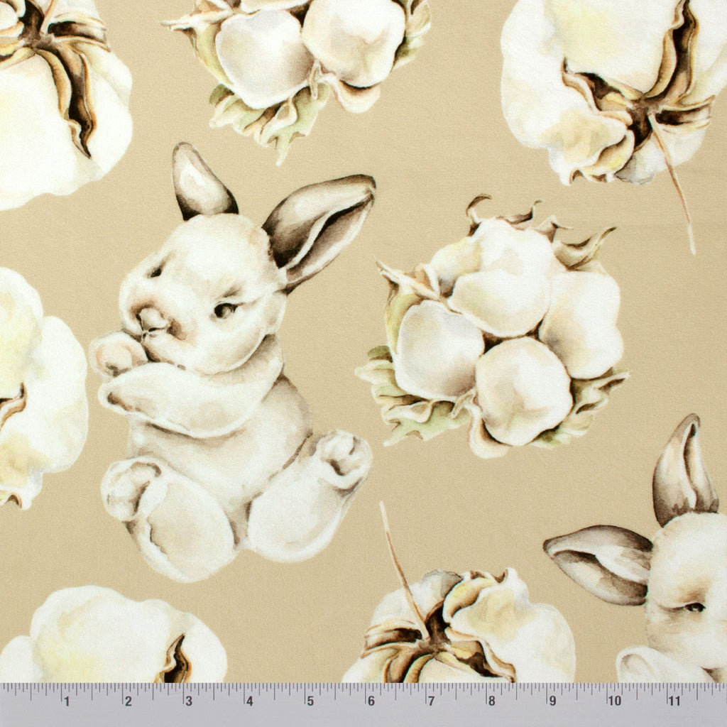 Cottontail