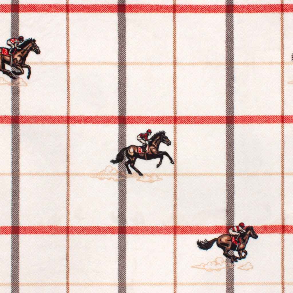Horse race minky fabric, pattern detail