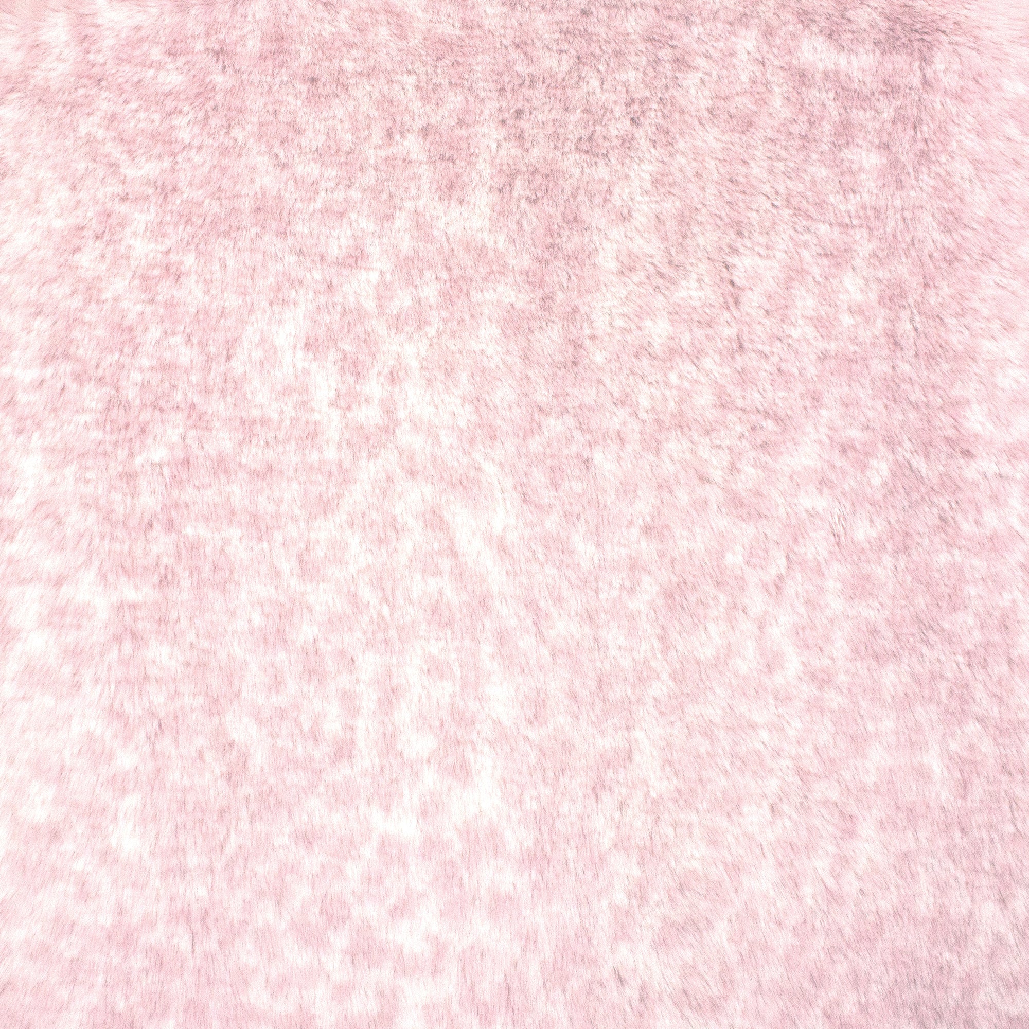 Baby Leo Whispy Snuggle Minky Fabric – EZ Fabric