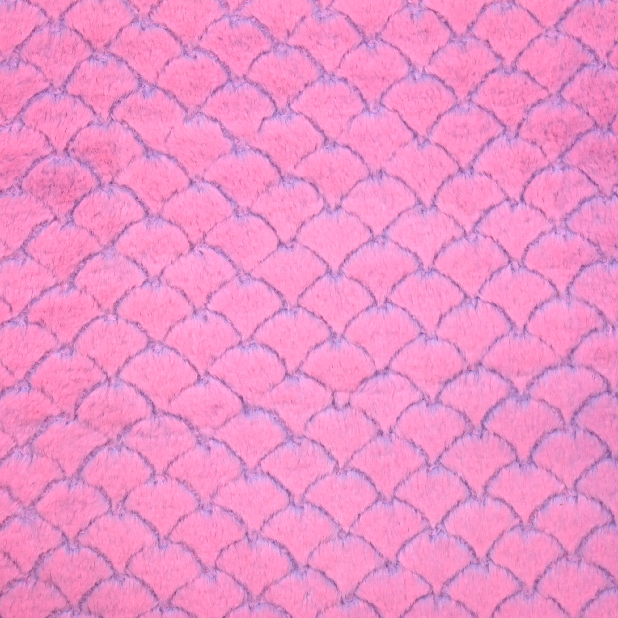 Two Tone Baby Modo Snuggle