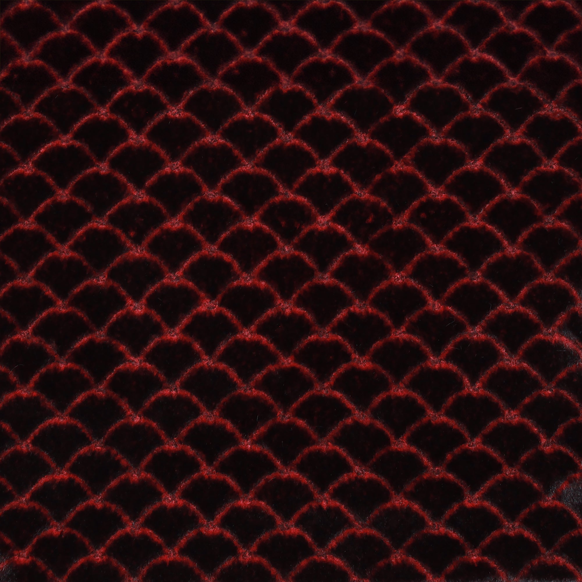 Two Tone Baby Modo Snuggle