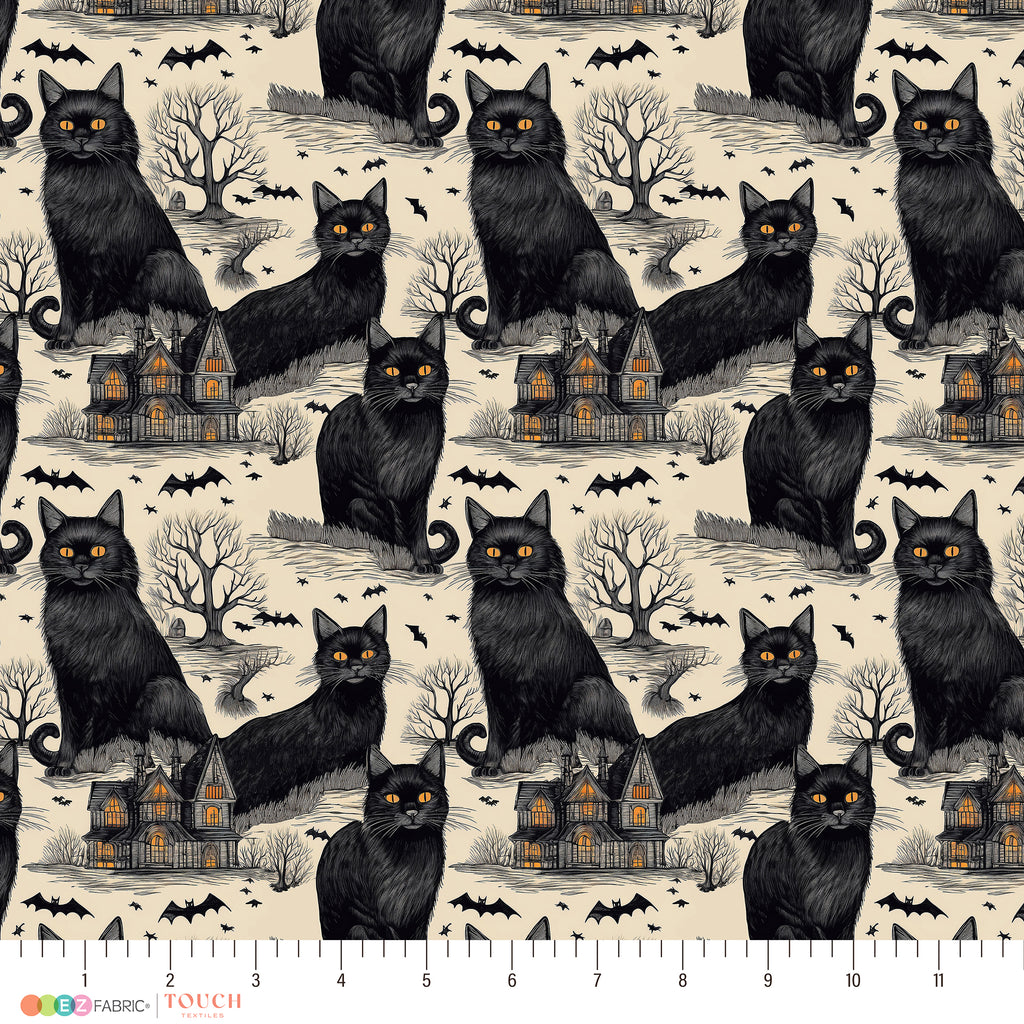 Black Cat