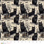 Black Cat