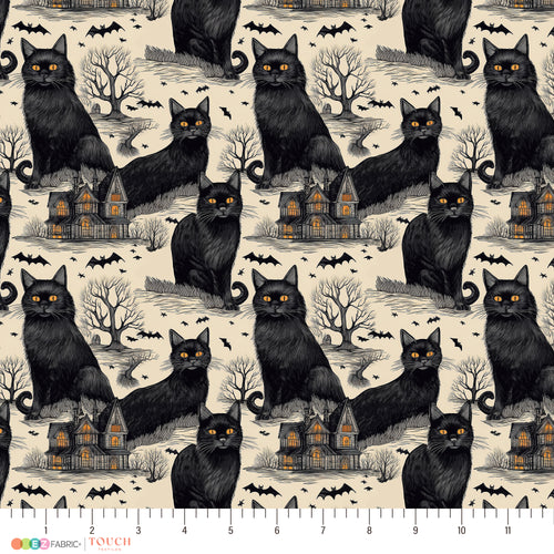Black Cat