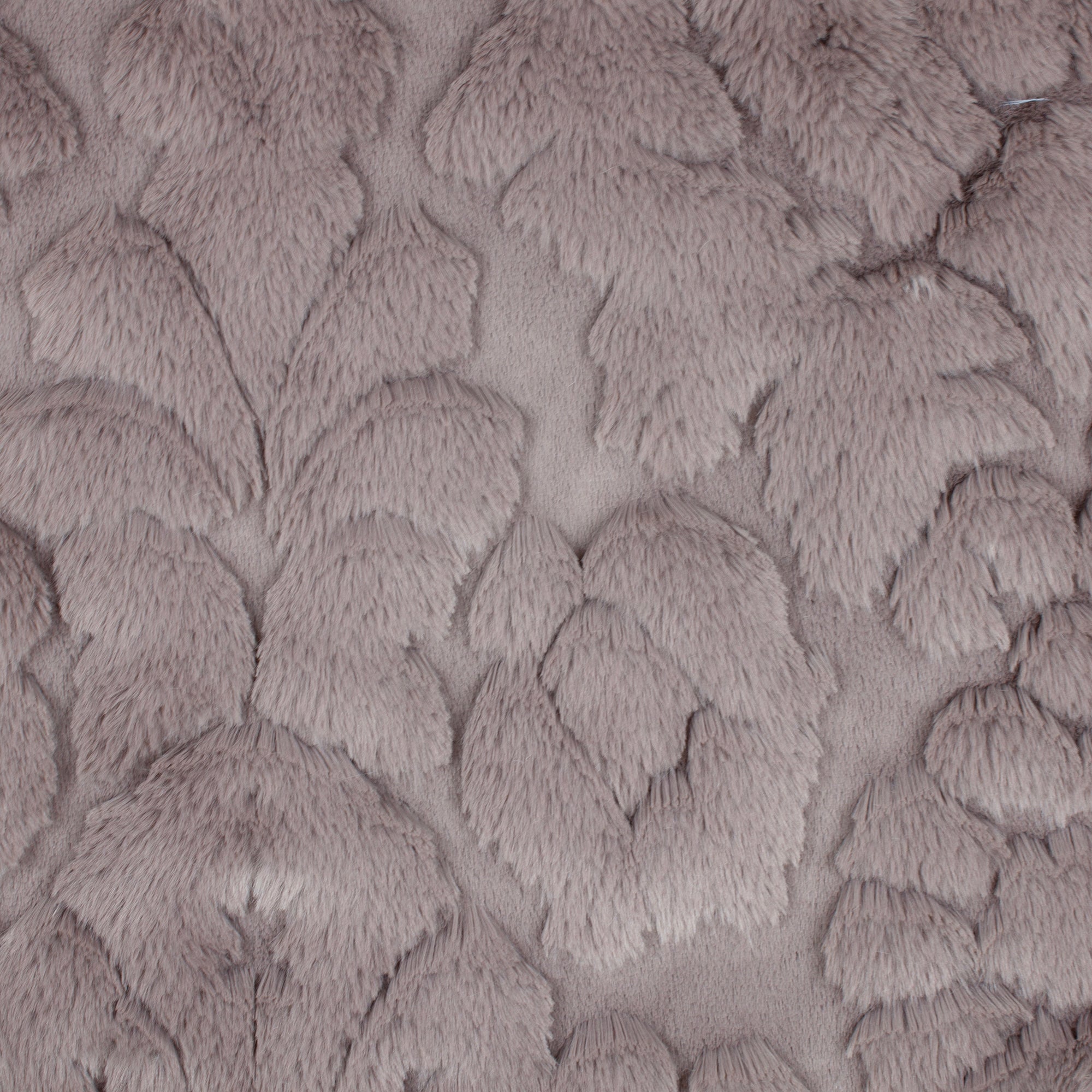 Damask Whispy Snuggle
