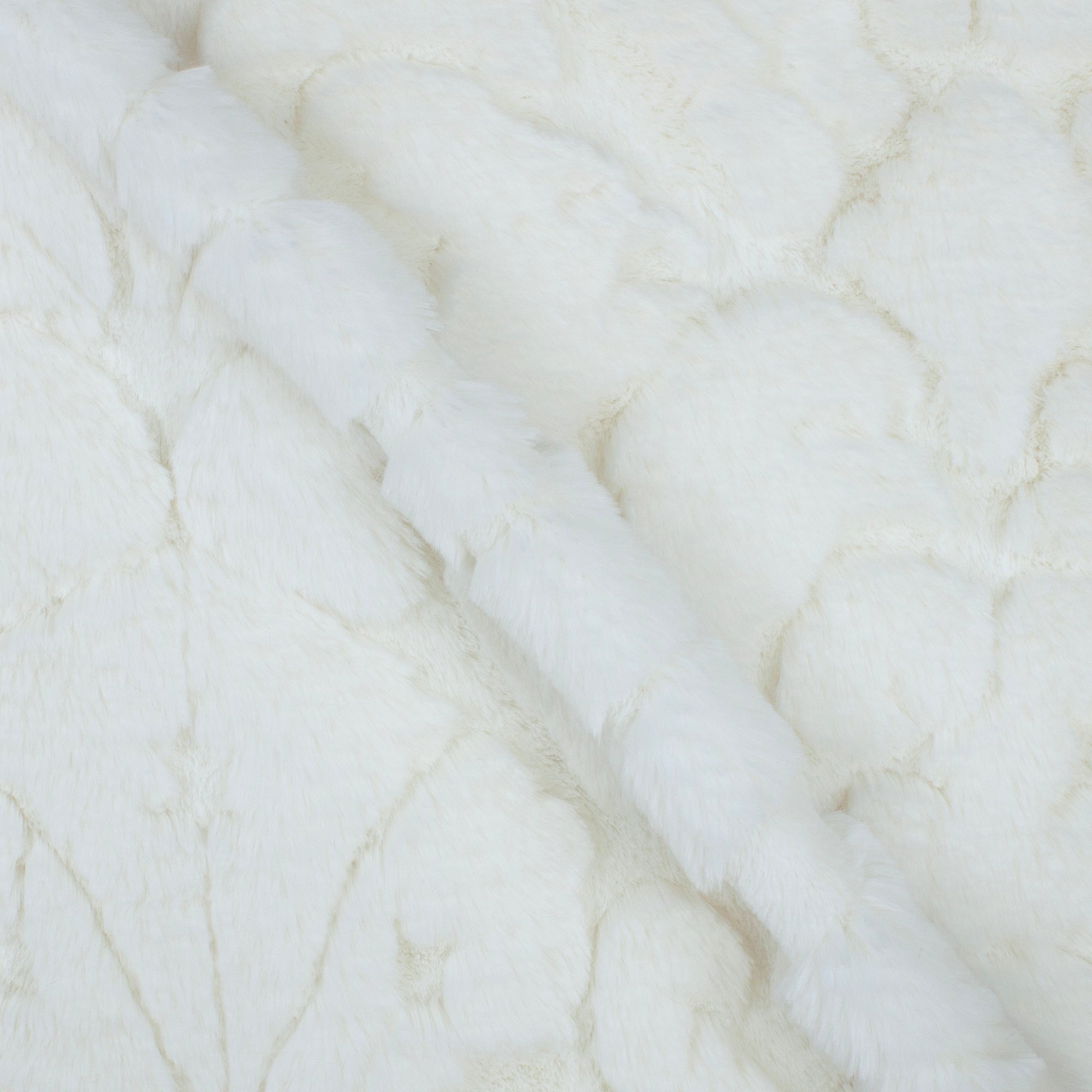 Damask Whispy Snuggle