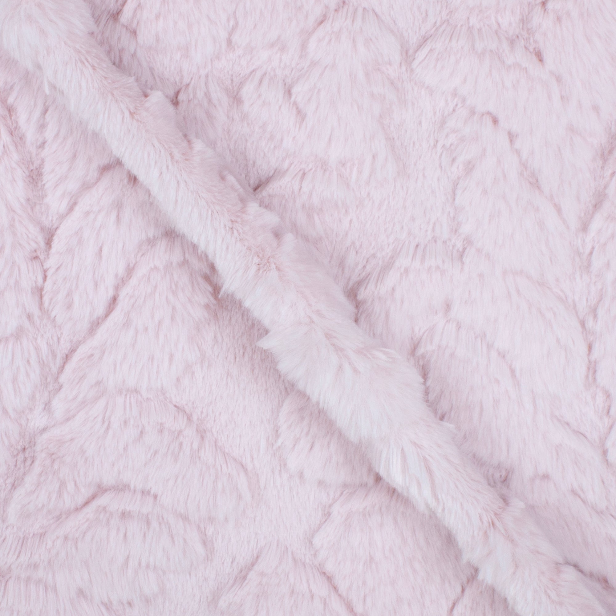 Damask Whispy Snuggle