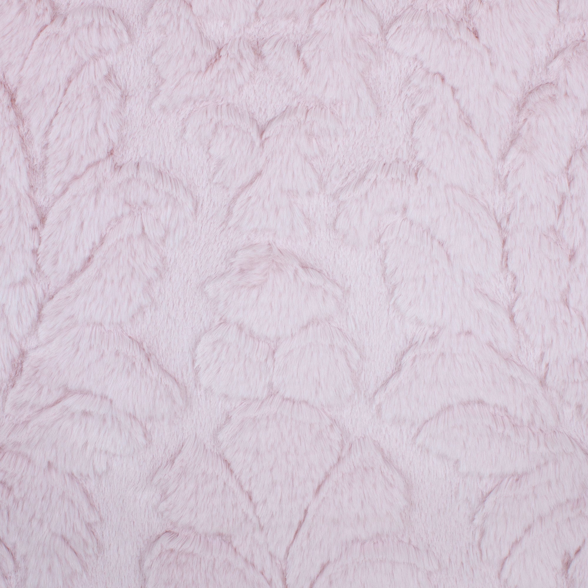 Damask Whispy Snuggle
