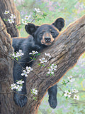 Spring Dreams Panel