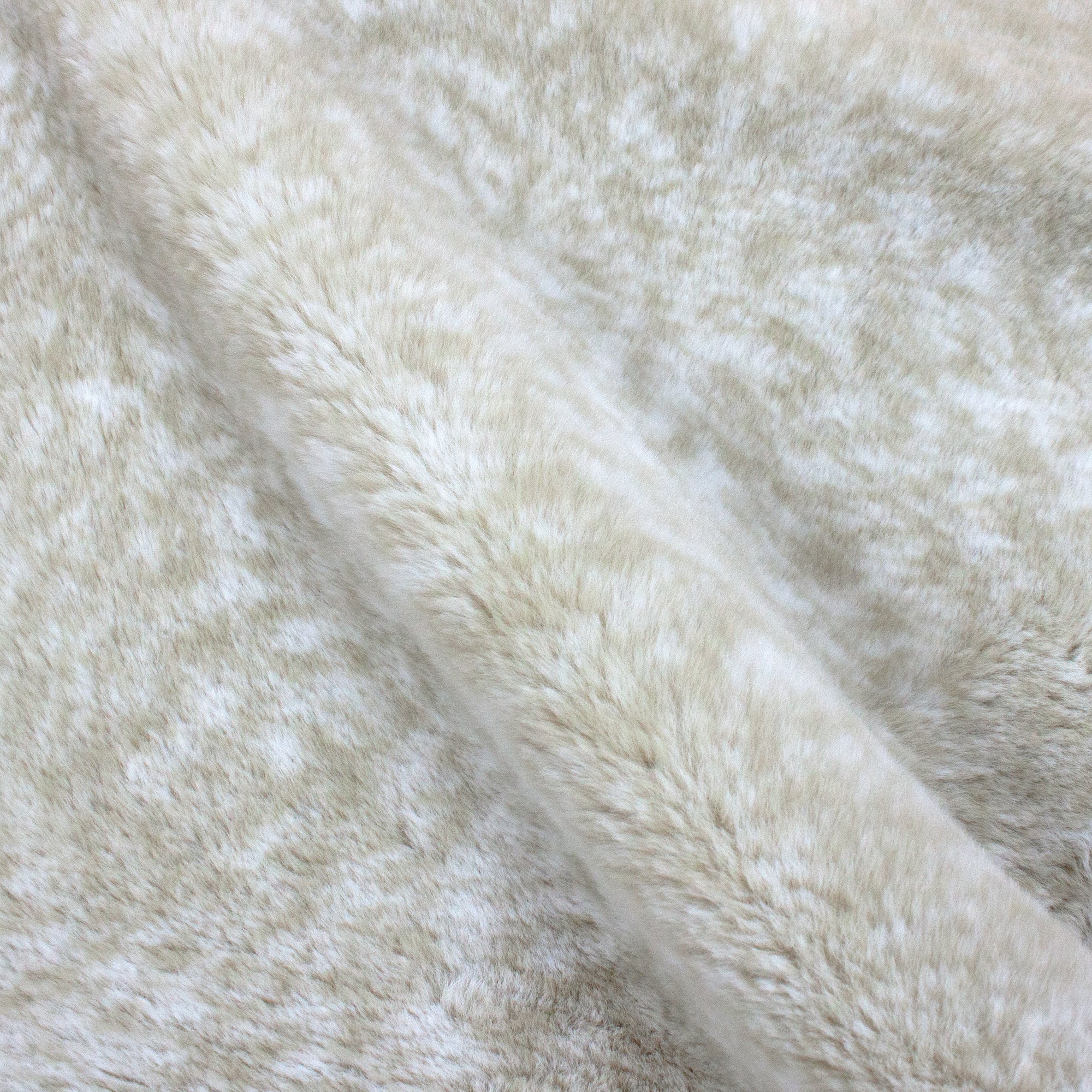 Jasper Snuggle