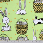 Follow The Bunny | A Hippity Hoppity Easter