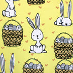 Follow The Bunny Easter print minky fabric, folded