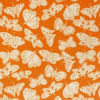 Butterfly Days | Butterfly Days