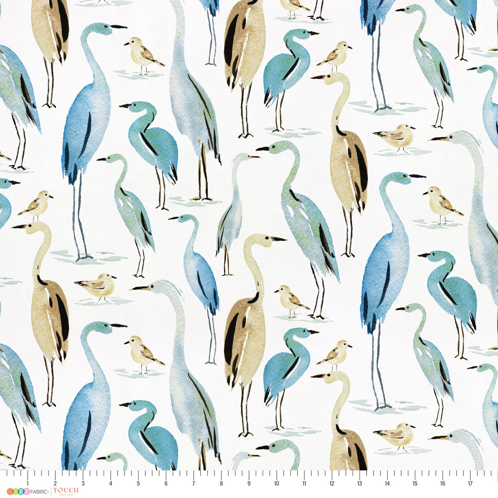 Coastal Birds | Weekend Getaway