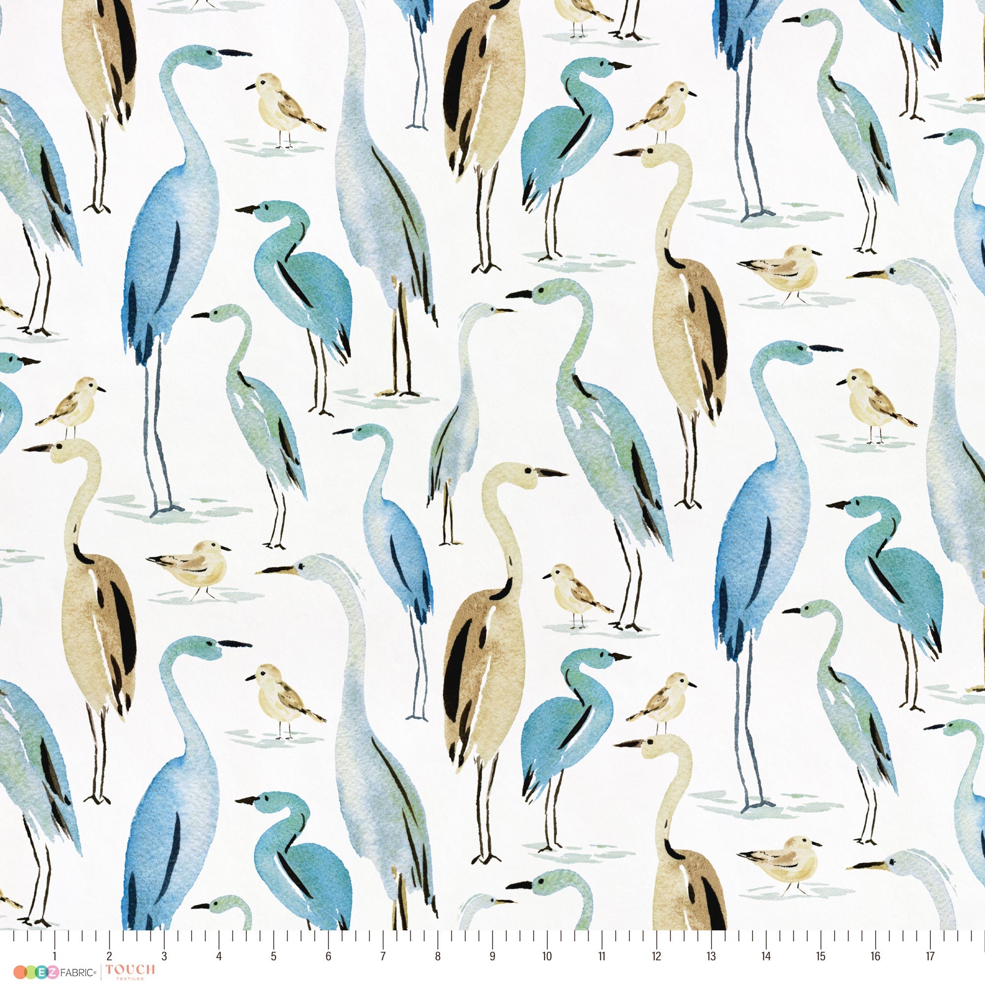 Coastal Birds | Weekend Getaway