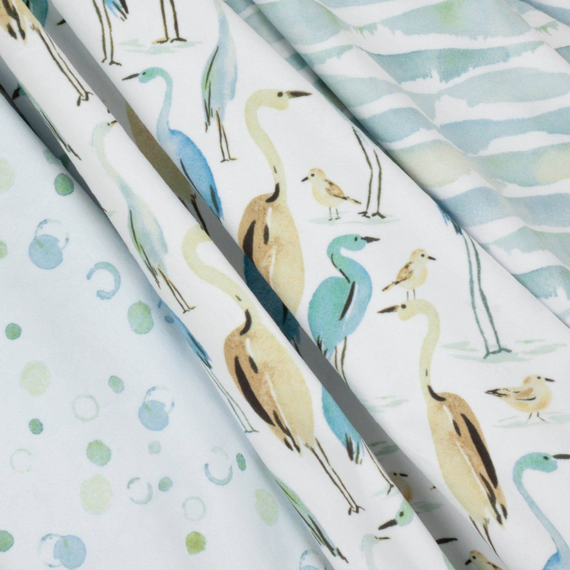 Coastal Birds | Weekend Getaway