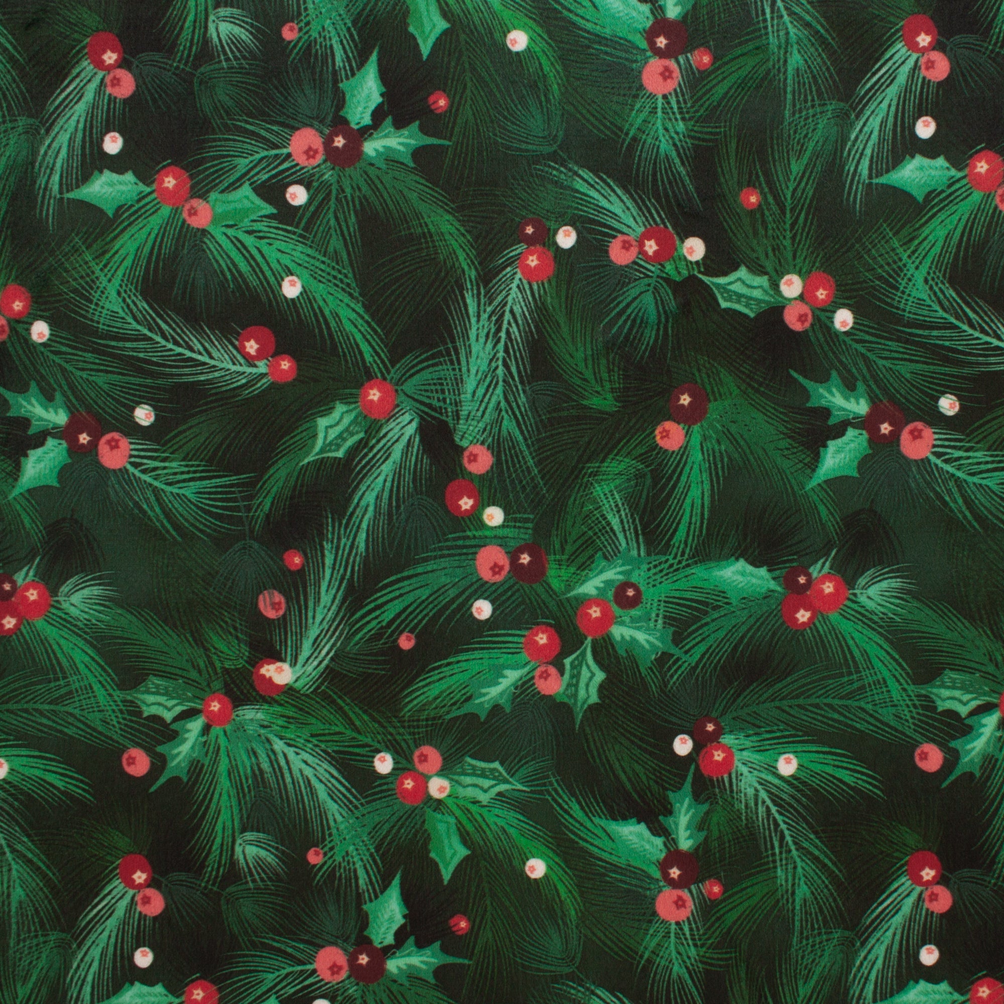 Holly Berries | Gloria