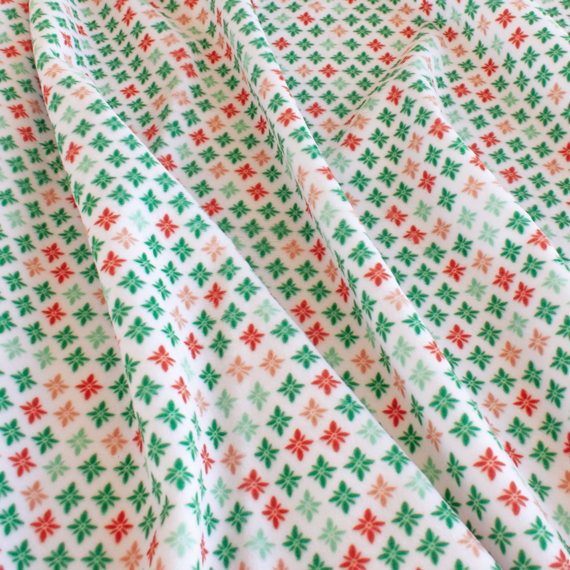 Holiday Stars | Gloria