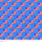Patriotic Flags | USA Stars & Stripes