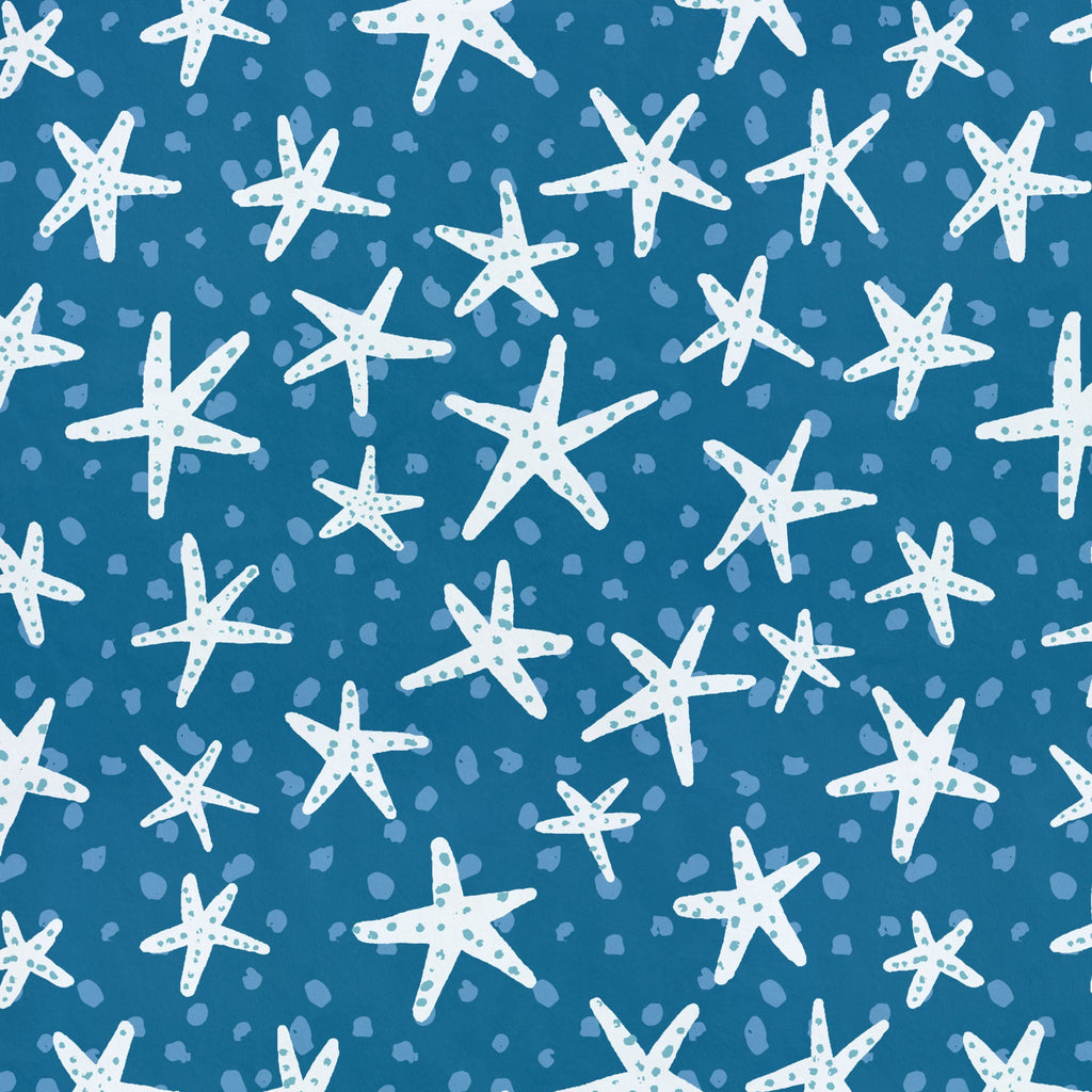 Spotted Starfish | Underwater Eden