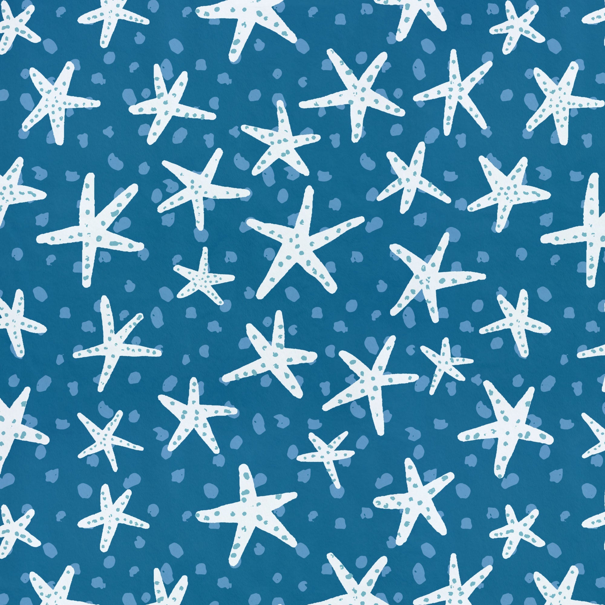 Spotted Starfish | Underwater Eden