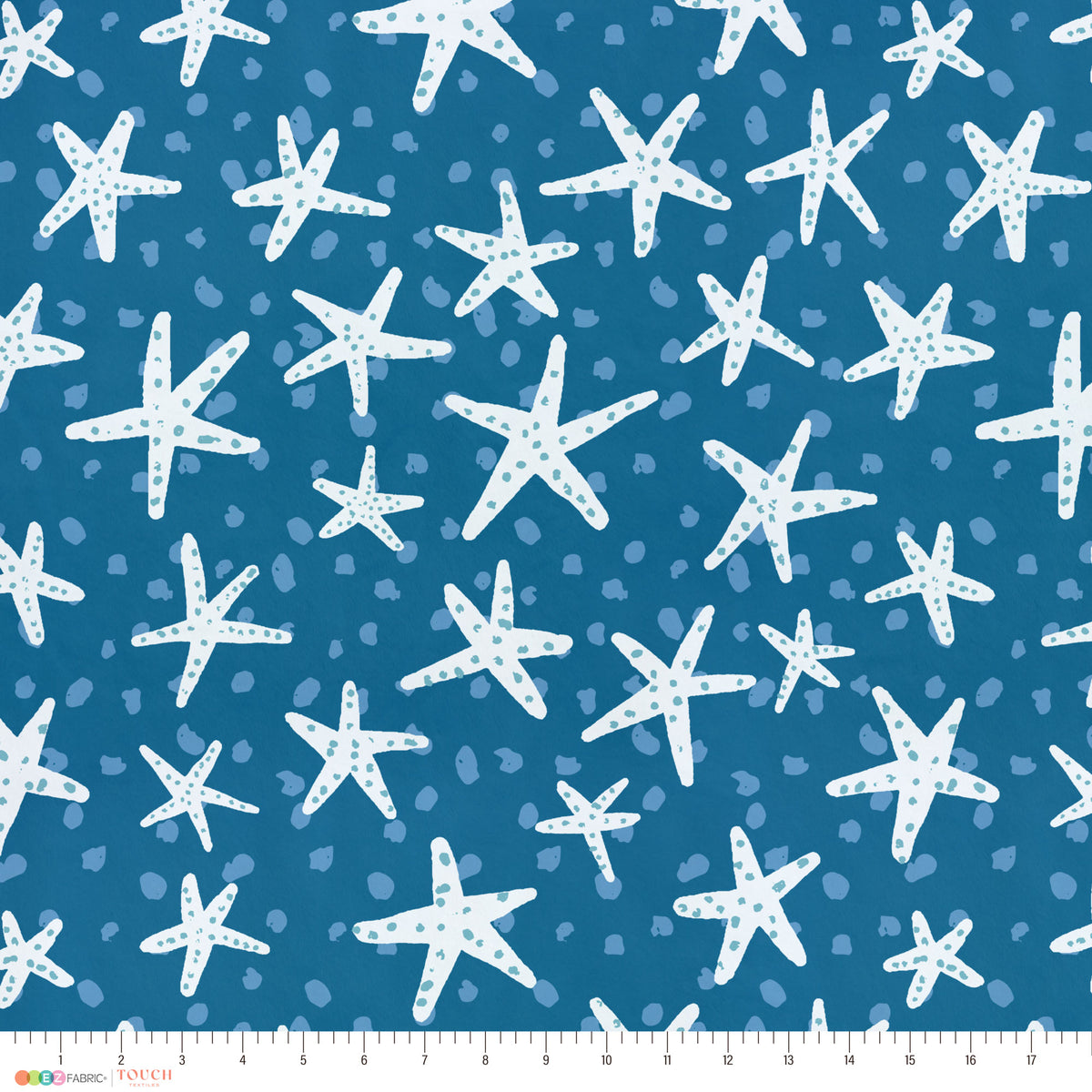 Spotted Starfish | Underwater Eden