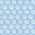 Scallop Shells | Underwater Eden