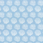 Scallop Shells | Underwater Eden