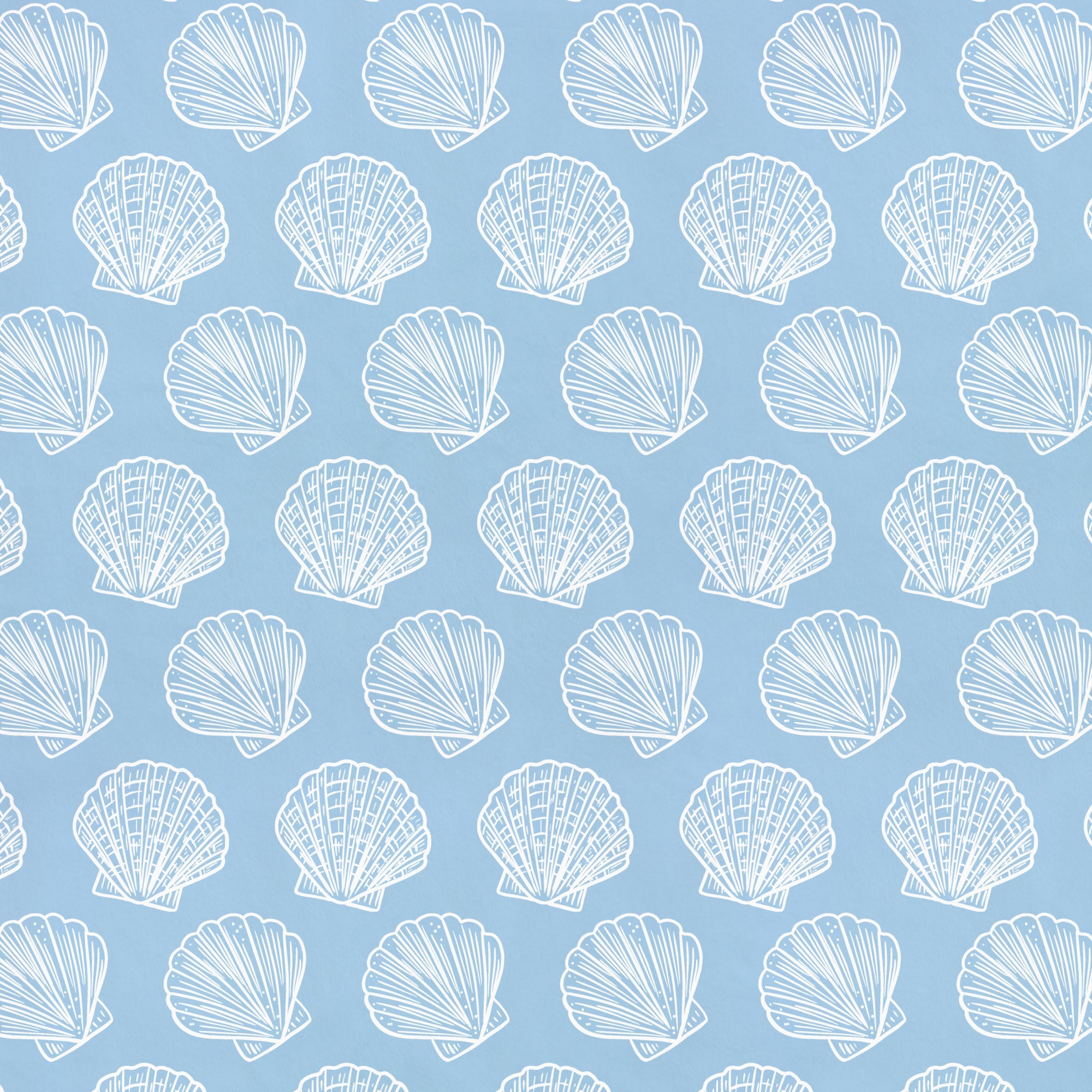Scallop Shells | Underwater Eden