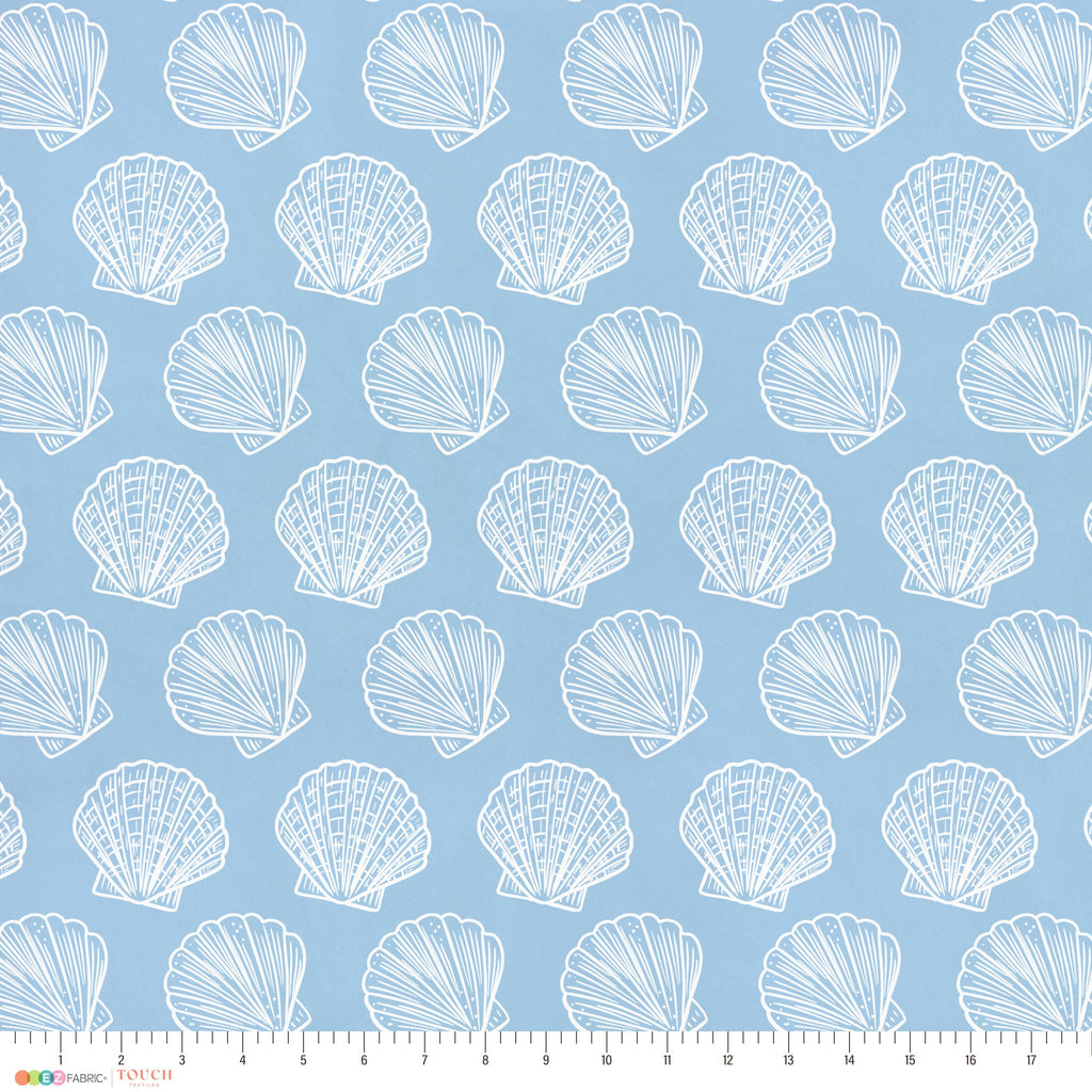 Scallop Shells | Underwater Eden
