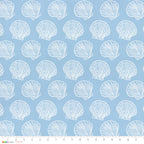 Scallop Shells | Underwater Eden