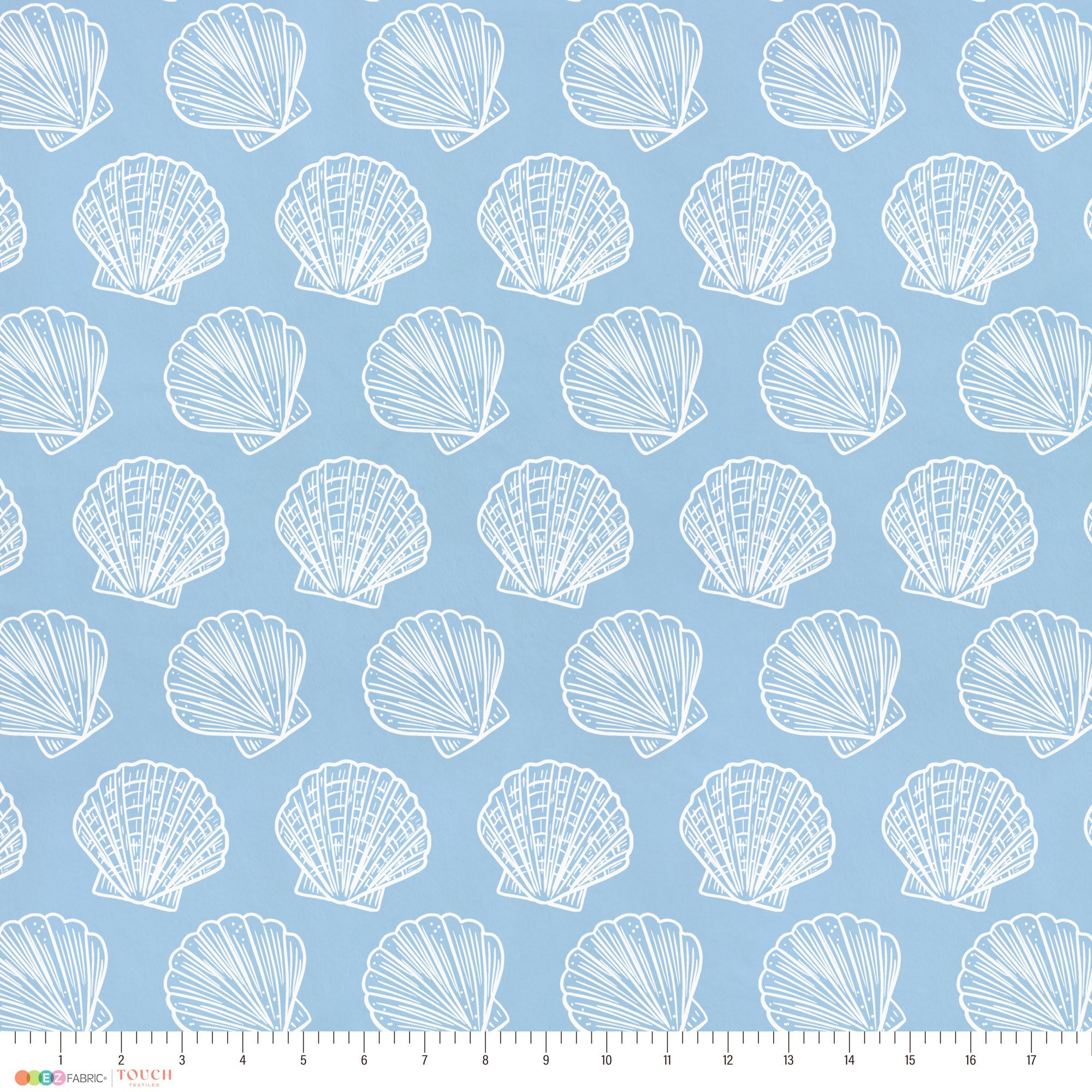 Scallop Shells | Underwater Eden