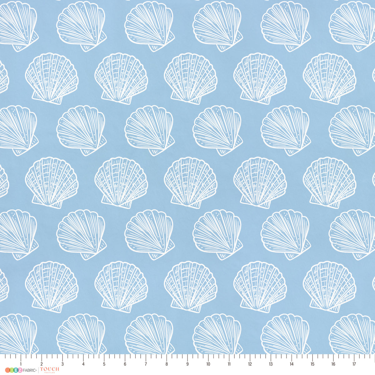 Scallop Shells | Underwater Eden