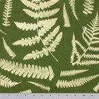 Boho Chic Ferns | Boho Chic Ferns