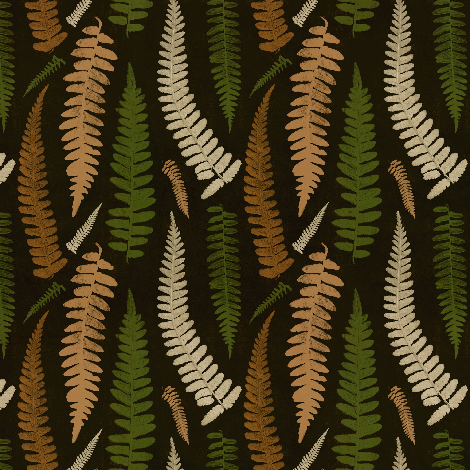 Corcovado | Boho Chic Ferns